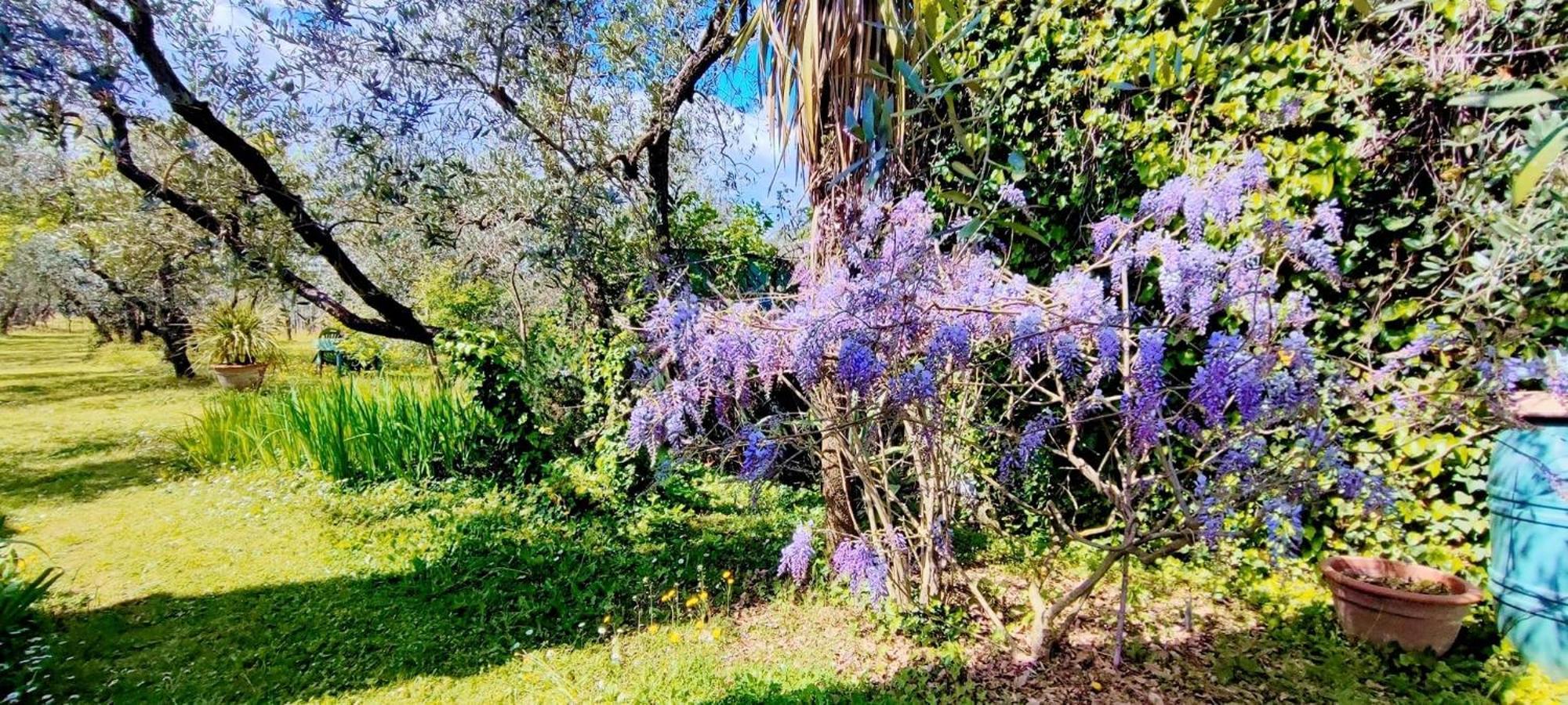 فيلا La Casa Dei Nonni Larciano المظهر الخارجي الصورة